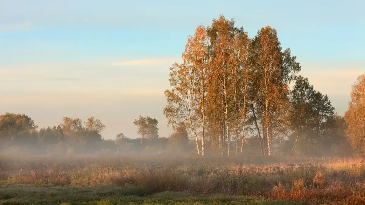 Podlasie