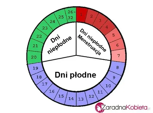 Główne zdjęcie - Jak obliczyć kiedy występują dni płodne ?