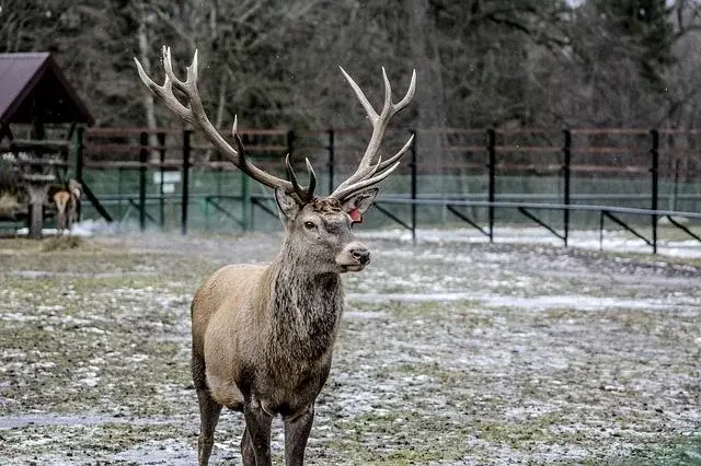 Pomysł na weekend: Białowieża i okolice