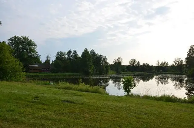 Pomysł na weekend: Białowieża i okolice