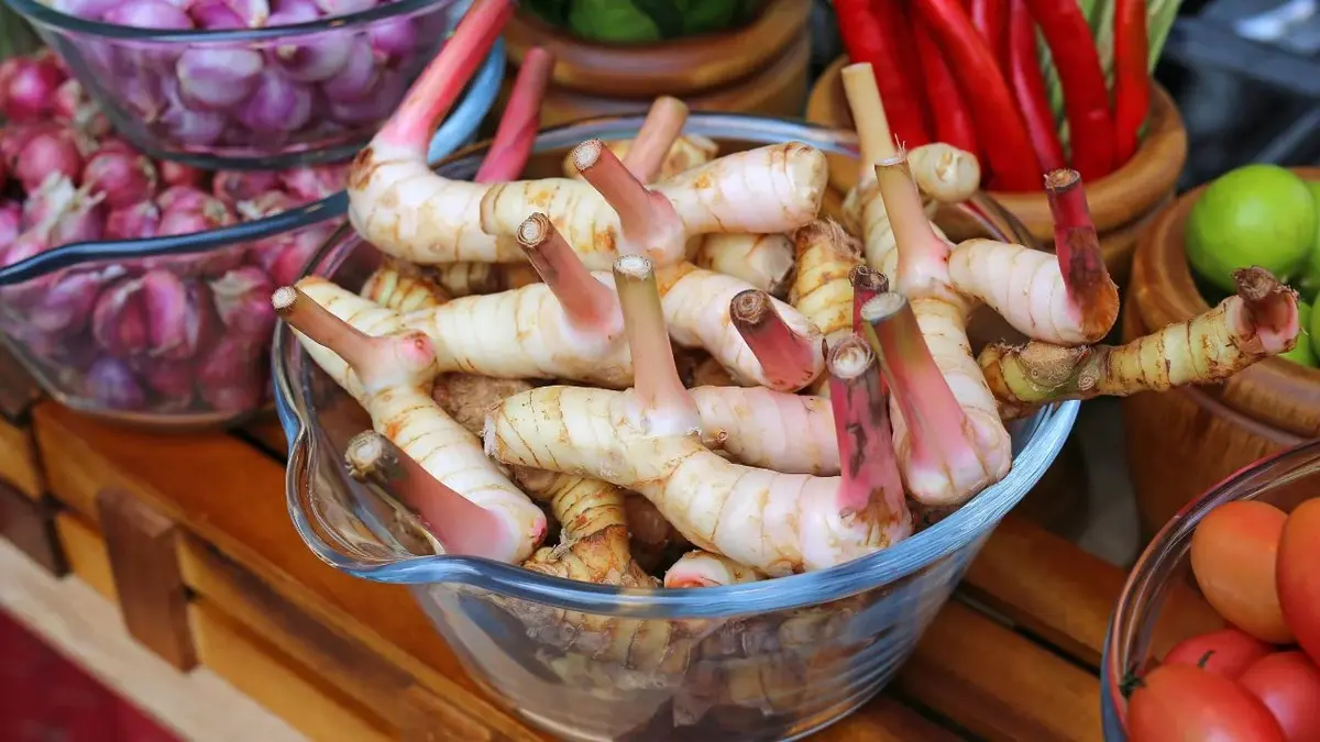 Galangal