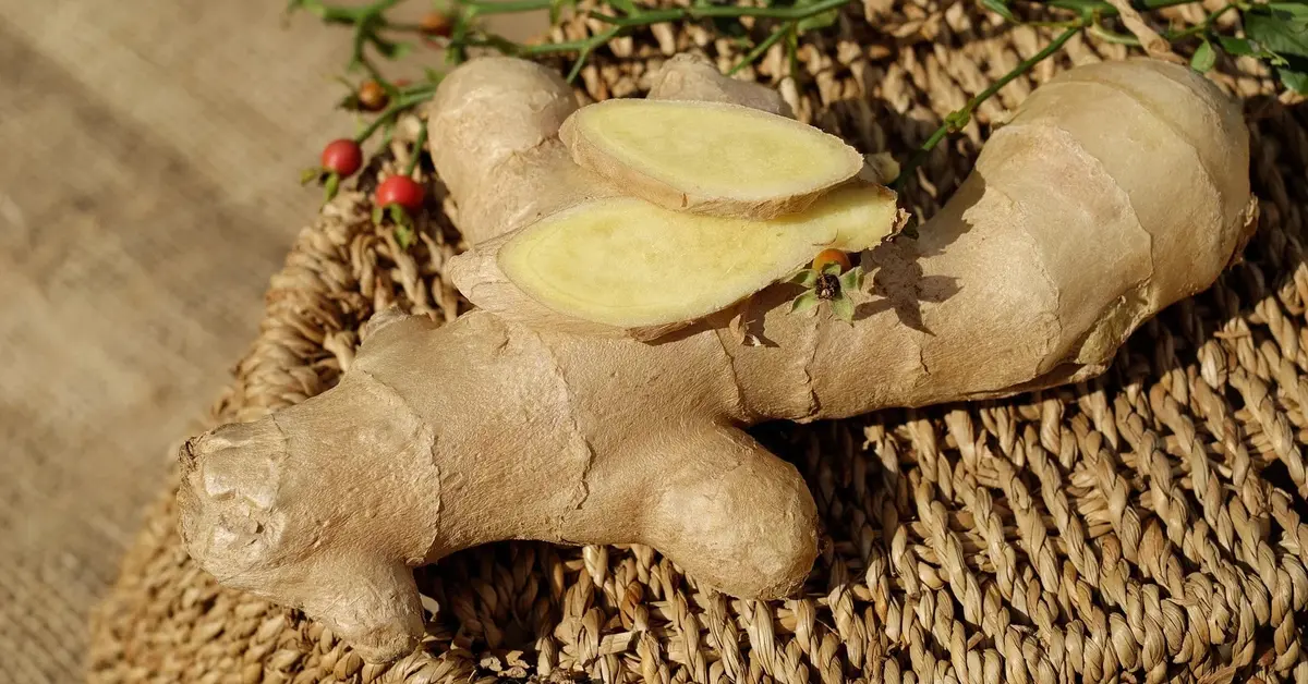 Główne zdjęcie - Jakie właściwości ma imbir? Pomaga na potencję i nie tylko 