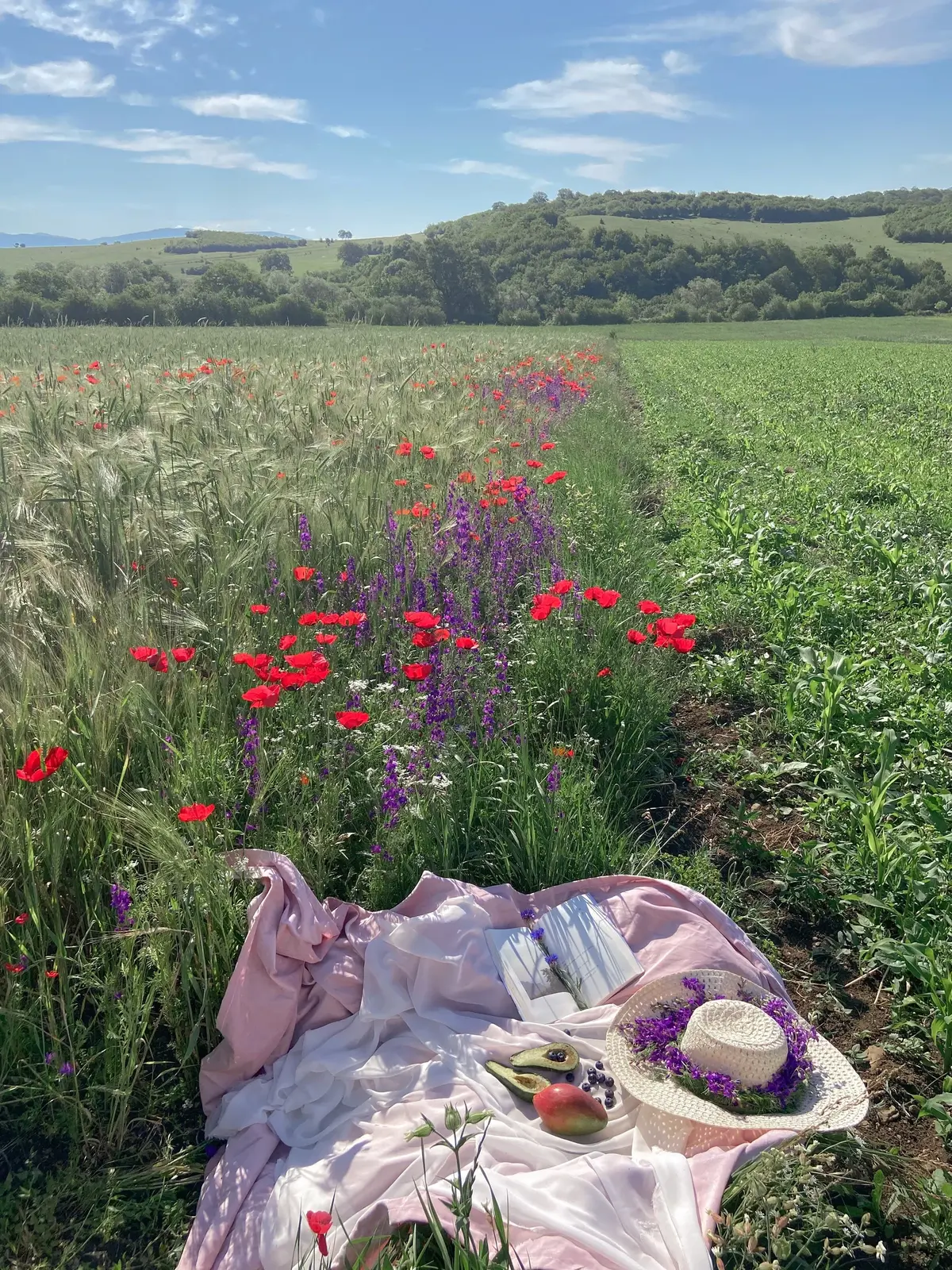 Łąka z polnymi kwiatami, koc piknikowy