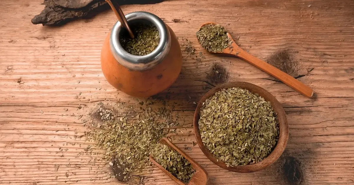 Yerba mate W naczyniu do picia i suszone w miseczce 