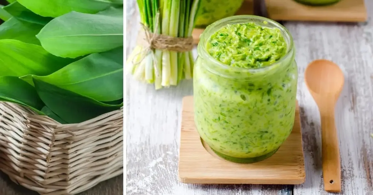 Główne zdjęcie - Sezon na wiosenne zioła trwa! Przygotuj zielone pesto z czosnku niedźwiedziego