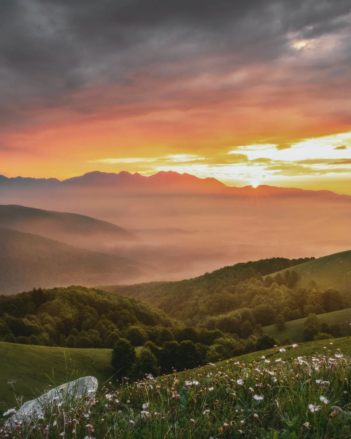 Widok na góry i łąki