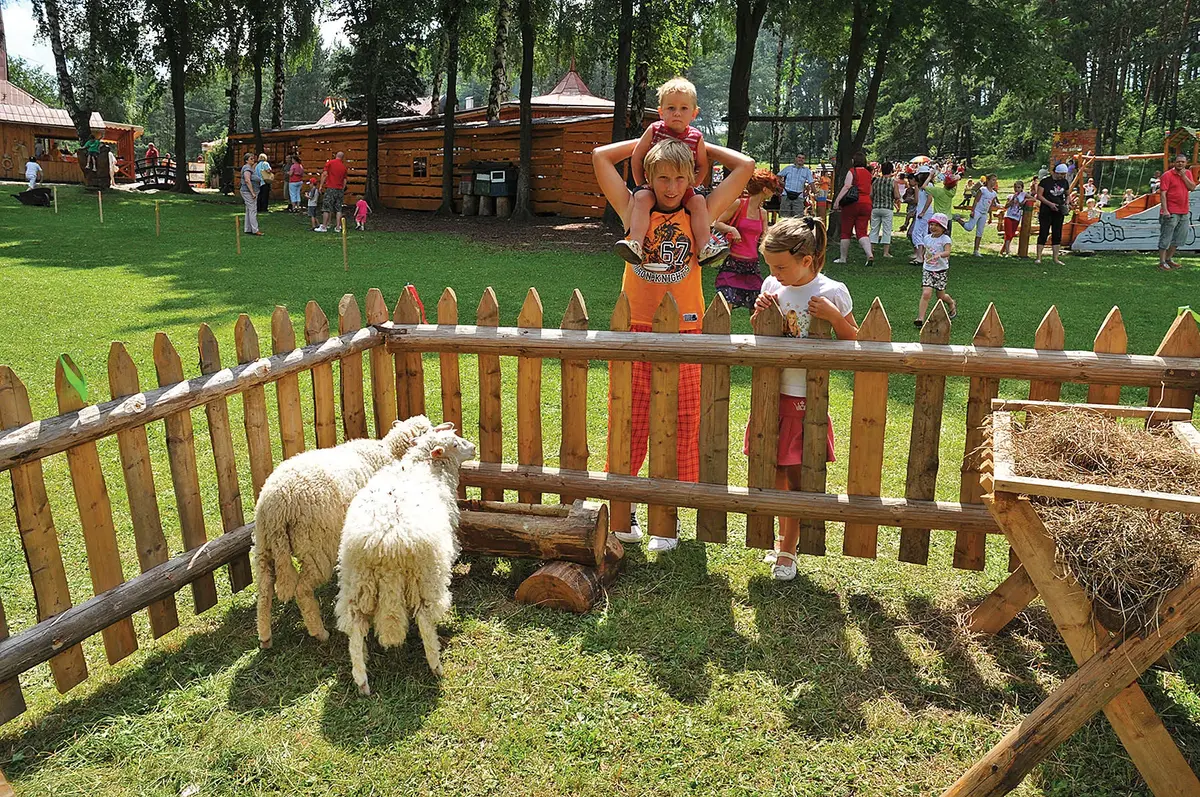 Tatry Spisz Pieniny zagroda z owieczkami