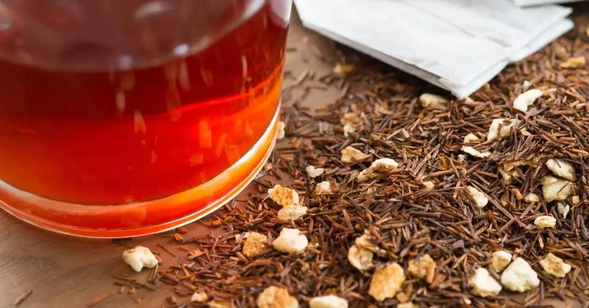 Herbata rooibos