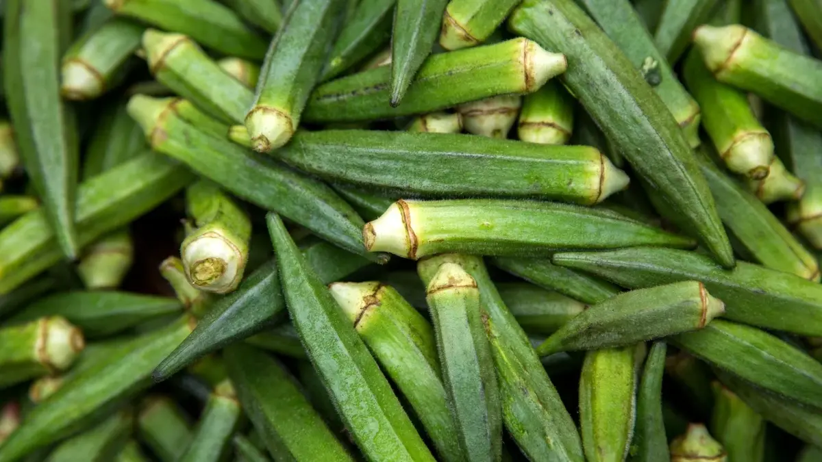 okra 