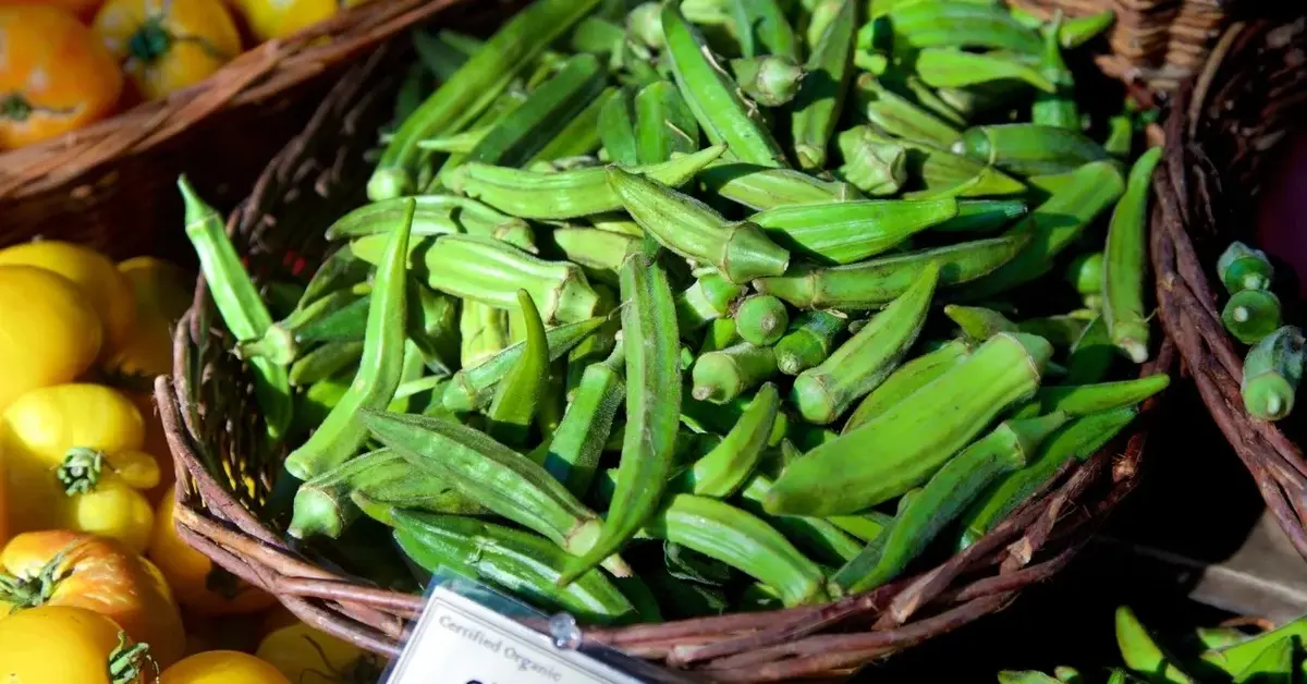 okra w koszu