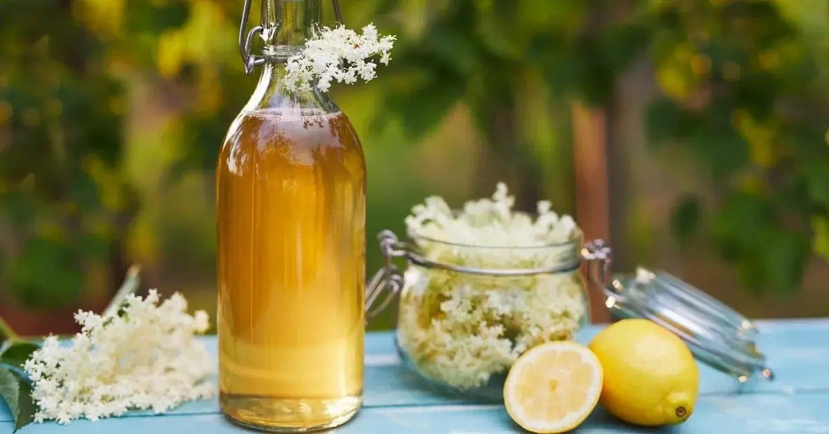 Główne zdjęcie - Syrop z kwiatów czarnego bzu: Przepis babci Irki