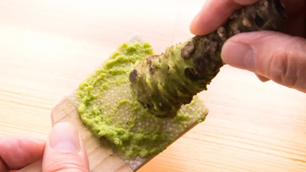 korzeń wasabi